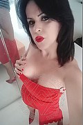 Cabo Frio Trans Escort Raffaella Bastos 0055 62996339624 foto selfie 33