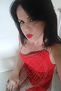 Cabo Frio Trans Escort Raffaella Bastos 0055 62996339624 foto selfie 31