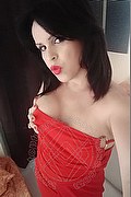 Cabo Frio Trans Escort Raffaella Bastos 0055 62996339624 foto selfie 29