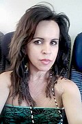 Cabo Frio Trans Escort Raffaella Bastos 0055 62996339624 foto selfie 67