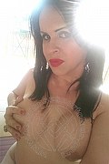 Cabo Frio Trans Escort Raffaella Bastos 0055 62996339624 foto selfie 50