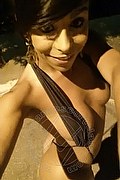 Sanremo Trans Escort Vivy  Noronha 333 1867209 foto selfie 14