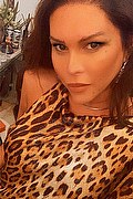 Udine Trans Escort Adriana Ventury Pornostar 320 1606762 foto selfie 9