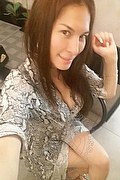 Licola Trans Escort Sarita Barbie 350 8177662 foto selfie 13