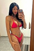 Voghera Trans Escort Paula Lucarely 327 2772495 foto selfie 1