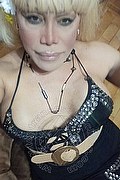 Bergamo Trans Escort Nicole Vip Venturiny 353 3538868 foto selfie 65