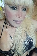 Bergamo Trans Escort Nicole Vip Venturiny 353 3538868 foto selfie 61