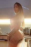 Verbania Trans Escort Renata Falcao 333 6565697 foto selfie 6