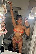 Sava Trans Escort Viviana 388 1530590 foto selfie 1