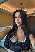 Grosseto Trans Escort Sara Luna 334 2293953 foto selfie 16