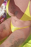 Caltanissetta Trans Escort Katherine 333 1238346 foto selfie 13
