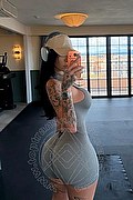 Grosseto Trans Escort Sara Luna 334 2293953 foto selfie 13