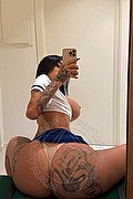 Grosseto Trans Escort Sara Luna 334 2293953 foto selfie 8