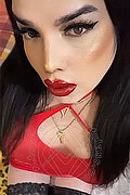 Fossano - Cuneo Trans Escort Cristina 350 9181926 foto selfie 4