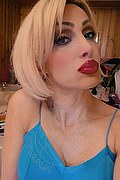 Monza Trans Escort Regina Audrey Italiana 388 9831116 foto selfie 11
