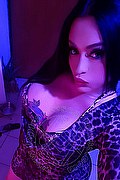 Frosinone Trans Escort Camilla Sexy Bambola 329 7099256 foto selfie 4