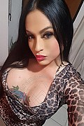 Frosinone Trans Escort Camilla Sexy Bambola 329 7099256 foto selfie 1
