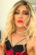 Torino Trans Escort Giulia Araujo 327 3719219 foto selfie 46