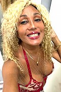 Milano Trans Escort Amber 347 4004169 foto selfie 5