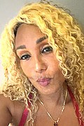 Milano Trans Escort Amber 347 4004169 foto selfie 3