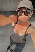 Treviso Trans Escort Valeria 338 8718849 foto selfie 2