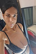 Roma Trans Escort Greta 334 3191923 foto selfie 8
