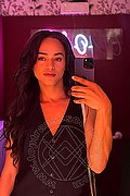Bologna Trans Escort Victoria New 339 4337857 foto selfie 24