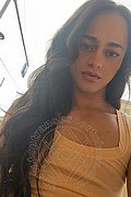 Bologna Trans Escort Victoria New 339 4337857 foto selfie 23