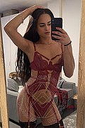 Bologna Trans Escort Victoria New 339 4337857 foto selfie 15