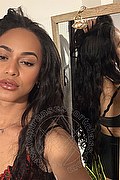 Bologna Trans Escort Victoria New 339 4337857 foto selfie 13