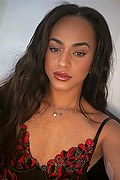 Bologna Trans Escort Victoria New 339 4337857 foto selfie 11