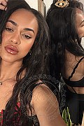 Bologna Trans Escort Victoria New 339 4337857 foto selfie 12