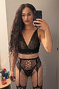 Bologna Trans Escort Victoria New 339 4337857 foto selfie 7