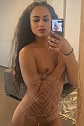 Bologna Trans Escort Victoria New 339 4337857 foto selfie 4