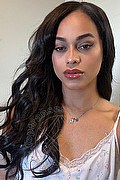 Bologna Trans Escort Victoria New 339 4337857 foto selfie 3