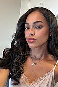 Bologna Trans Escort Victoria New 339 4337857 foto selfie 2