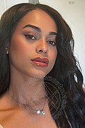 Bologna Trans Escort Victoria New 339 4337857 foto selfie 1