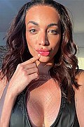 Brescia Trans Escort Louise 344 4285497 foto selfie 3