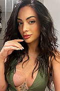 Brescia Trans Escort Louise 344 4285497 foto selfie 18